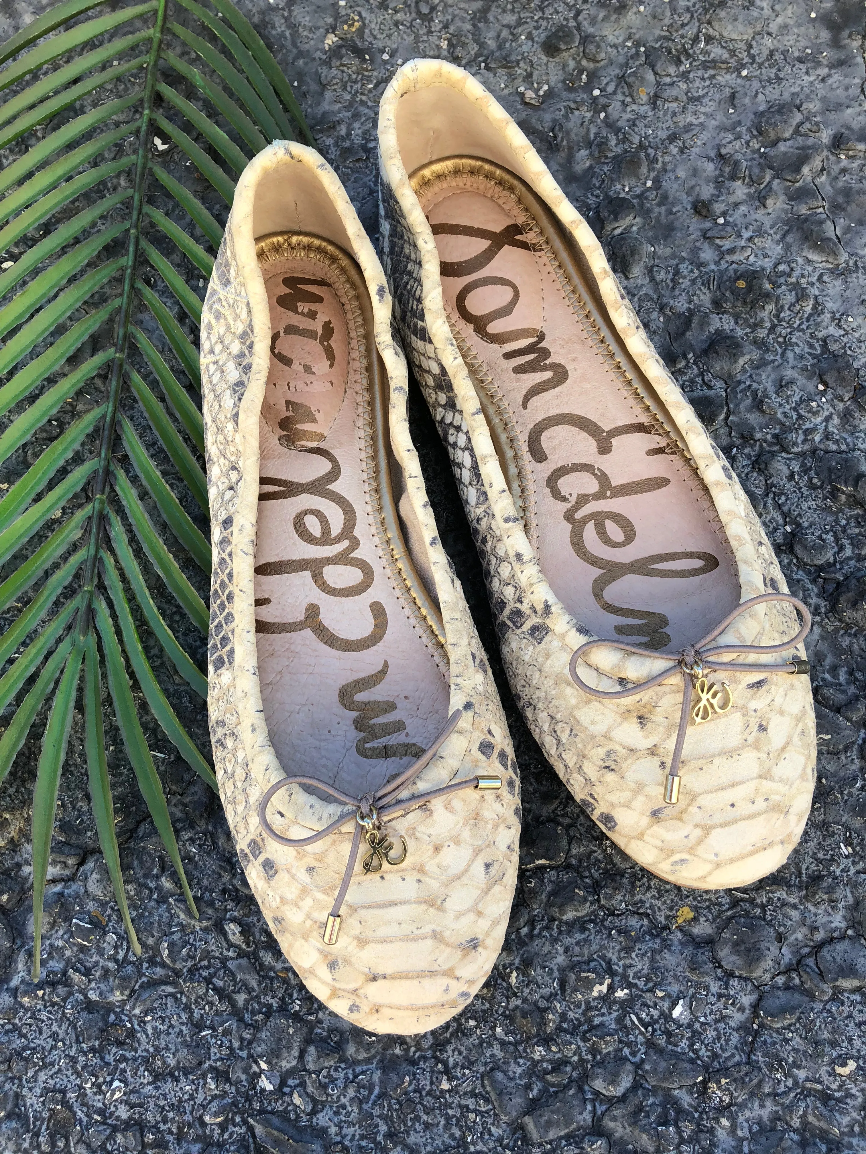 Sam Edelman - Size 6
