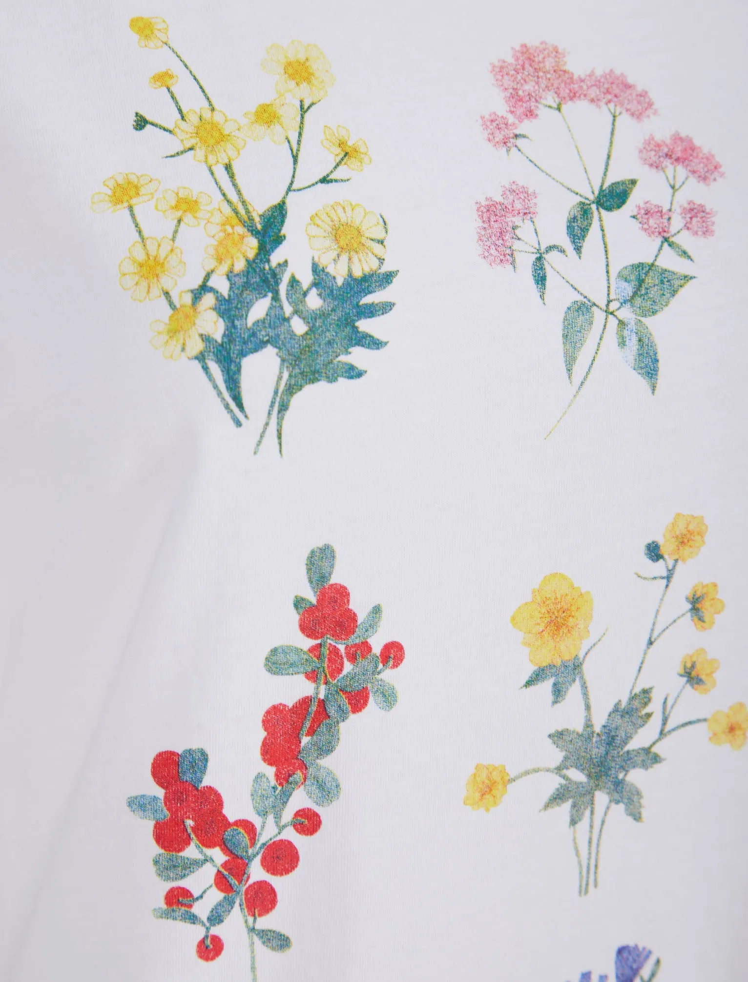 Wilder Floral Motif Cotton Jersey T-Shirt in Optic White - Weekend Vibes