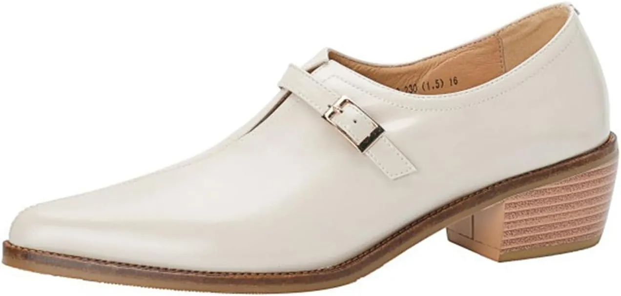 Women'S Fashion Leather Chunky Block Stacked Heel Ankle Boots With Belt Buckles, Elegant Closed Pointed Toe Casual Dress Loafers Office Formal Business Pumps.